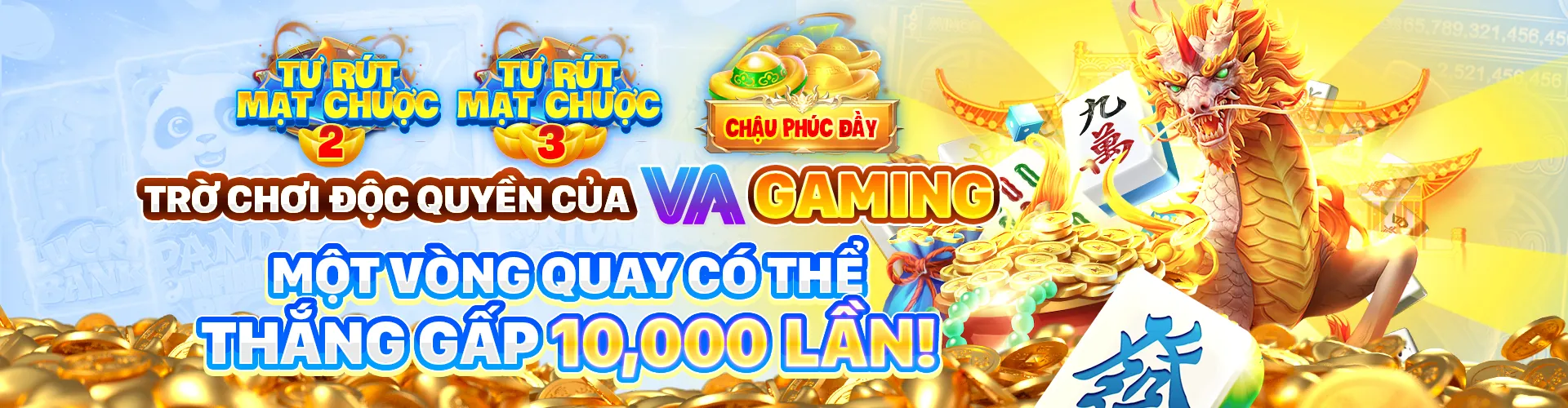 Khuyến Mãi Hấp Dẫn Tại all4paws